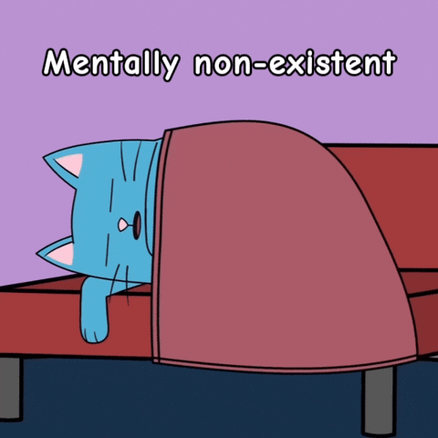 Check Out Blue Cat GIF