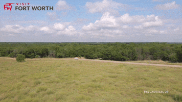 Travel Adventure GIF by Visit Fort Worth