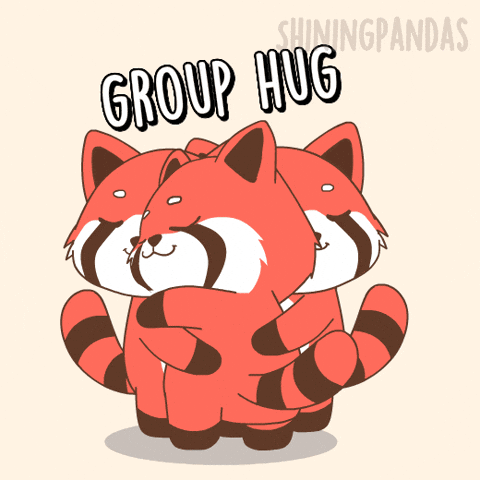 Red Panda Hug GIF