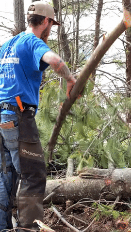 Throwing Yard Work GIF by JC Property Professionals