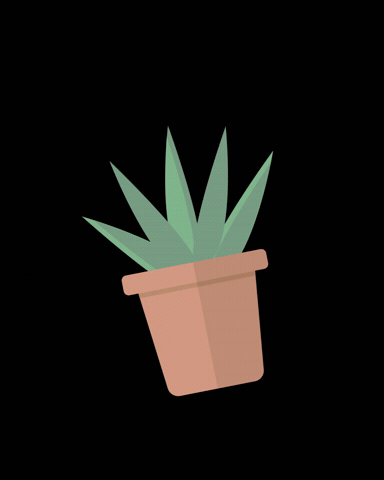 Plants GIF