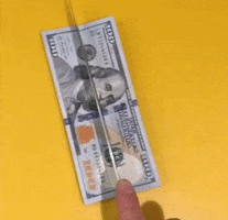 Money GIF