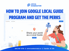 Google Maps Contributor Levels GIF