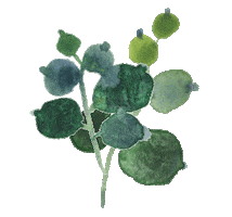 Flower Grow Sticker