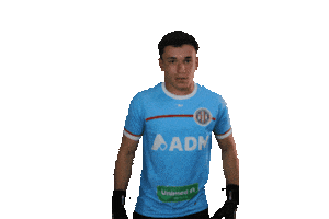 Saocarlense Sticker by Grêmio Desportivo São-Carlense