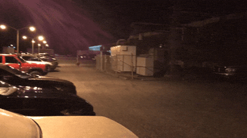 alexzanderzone  GIF