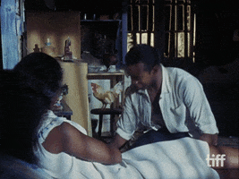 Black Orpheus Puppy GIF by TIFF