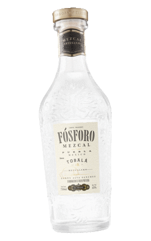 Fósforo Mezcal Sticker