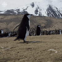 Happy Planet Earth GIF by CBC