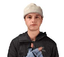 THE HEAT COMPANY Sticker