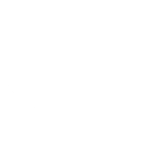 Nettalk Sticker by Netstrategy