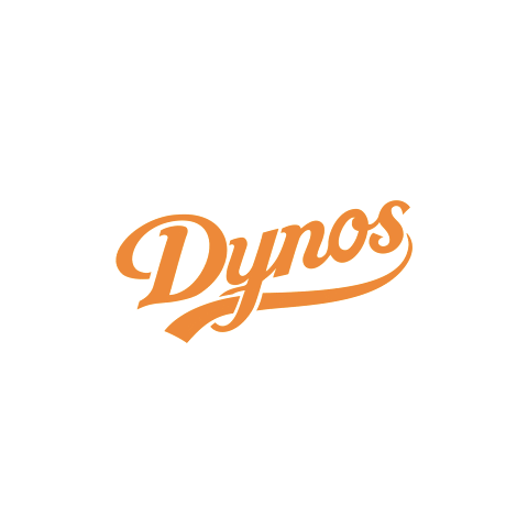 Dynos Verona Baseball Softball Sticker
