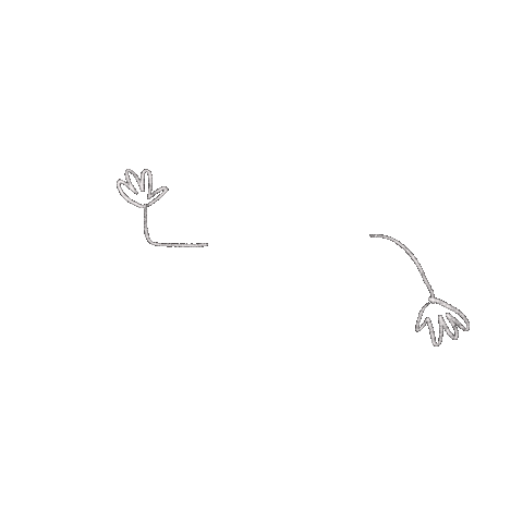 Herban Market Sticker