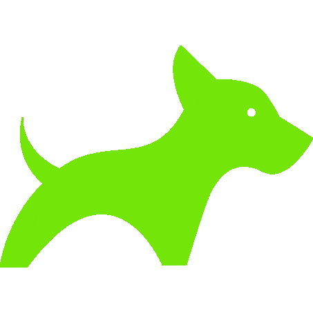 Addestramento Sticker by Manu Dog Camp