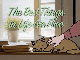 The Best Things In Life Are Free Cat GIF by Sealed With A GIF