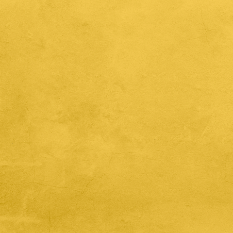 OSEY Brasil GIF