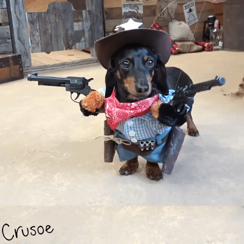 Cowboy Yeehaw Agenda GIF - Find & Share on GIPHY