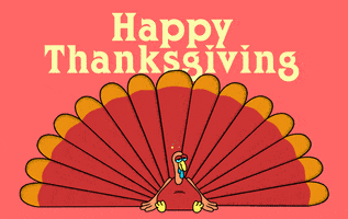 Thanksgiving Turkey GIF by Jason Clarke