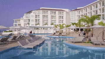 GIF by Palace Elite