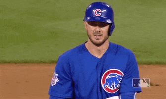 chicago cubs baseball GIF by MLB