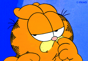 suspicious cat GIF by Garfield