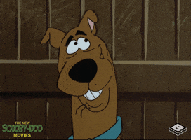 Scooby Doo Lol GIF by Boomerang Official