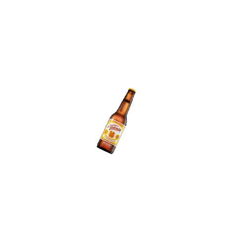 Cerveza Victoria Party Sticker by VictoriaCerveza for iOS & Android | GIPHY