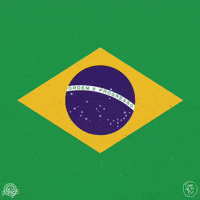 lula da silva brazil GIF by Camdelafu