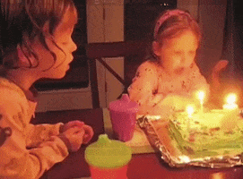 birthday fail GIF by America's Funniest Home Videos