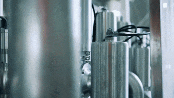 Beer GIF