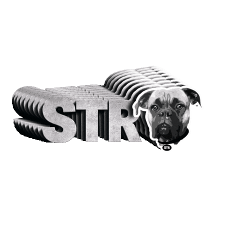 Animated Sticker