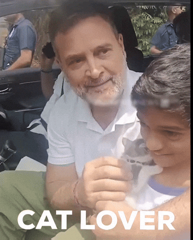 Rahul Gandhi Cat GIF by Indian National Congress