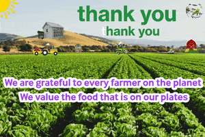 Life Thank You GIF by The SOL Foundation