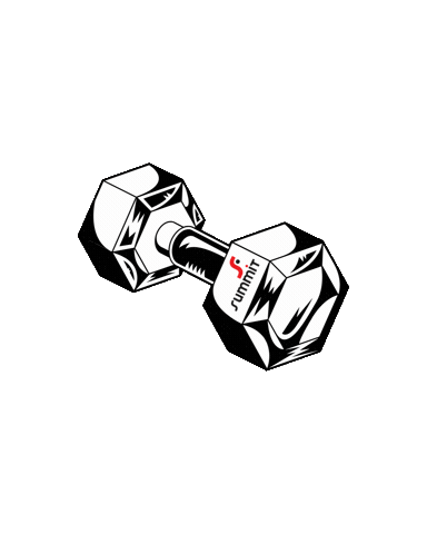 Summitfit Sticker by Summit Academia