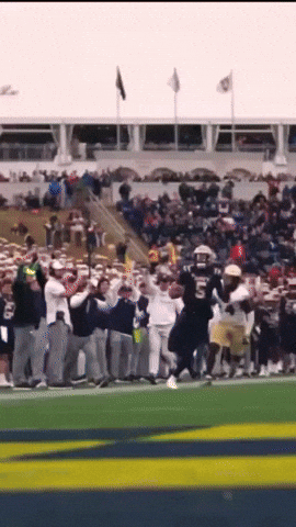 Celebration GIF