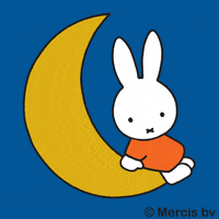 Baby Moon GIF by nijntje/miffy