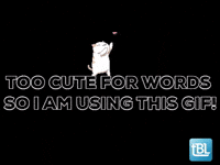 Ohh-so-cute GIFs - Get the best GIF on GIPHY