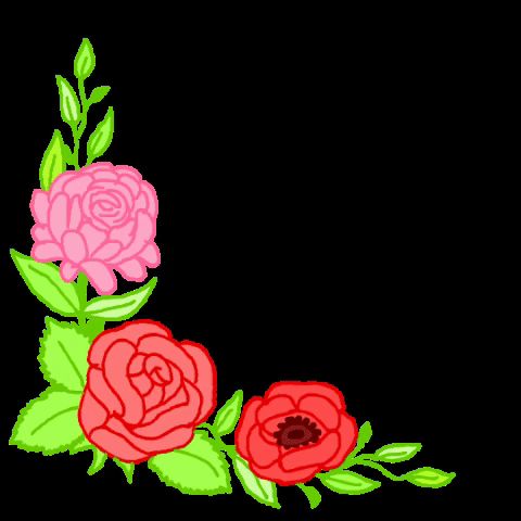 rose flower GIF