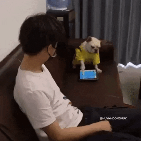 Animated GIF