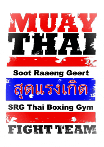 SRG Thai Boxing GIF
