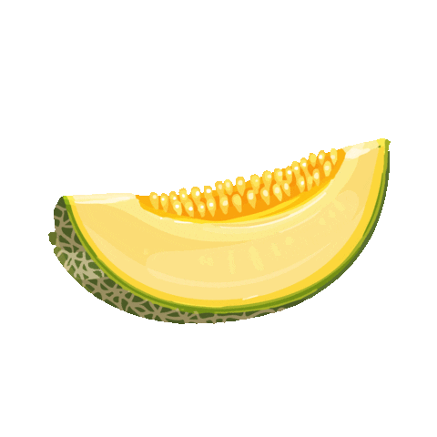 Watermelon Sticker