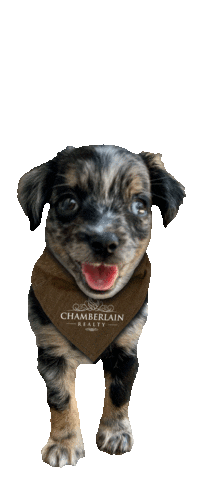 Real Estate Realtor Sticker by Chamberlain Realty LLC