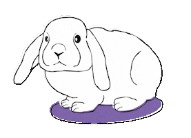 teapigs Sticker
