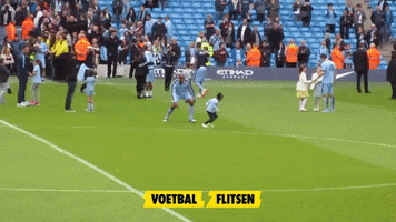 Manchester City Lol GIF by voetbalflitsen