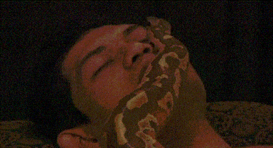 snakes