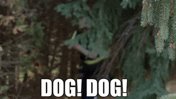StittsvilleOnPatrol dog run scream chase GIF