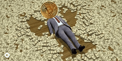 blockfi bitcoin btc raining money blockfi GIF
