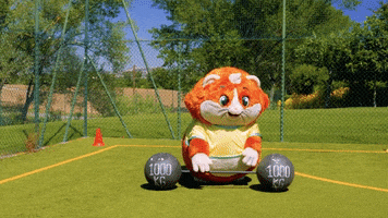 Sport Olympics GIF by 44 Cats