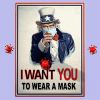 Masks Wear A Mask GIF