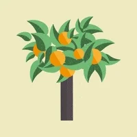 orange tree summer GIF